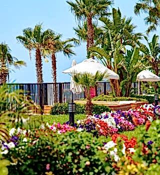 IMG-20250707-WA0117-2